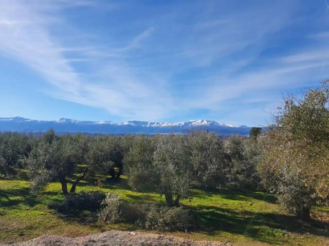Terreno en venta en Comarca de Guadix, Andalucía
