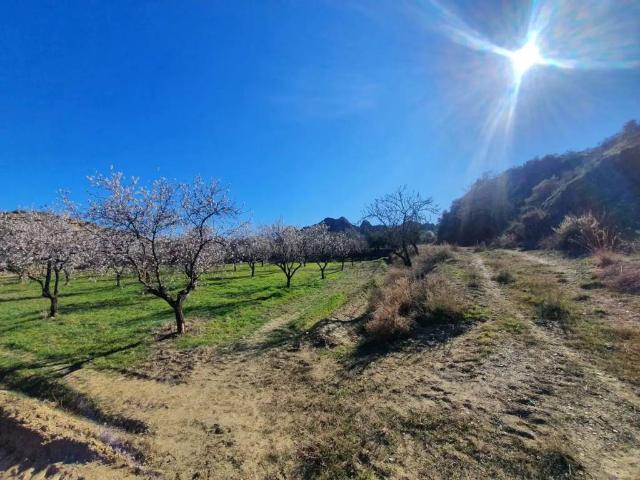 Terreno en venta en Comarca de Guadix, Andalucía