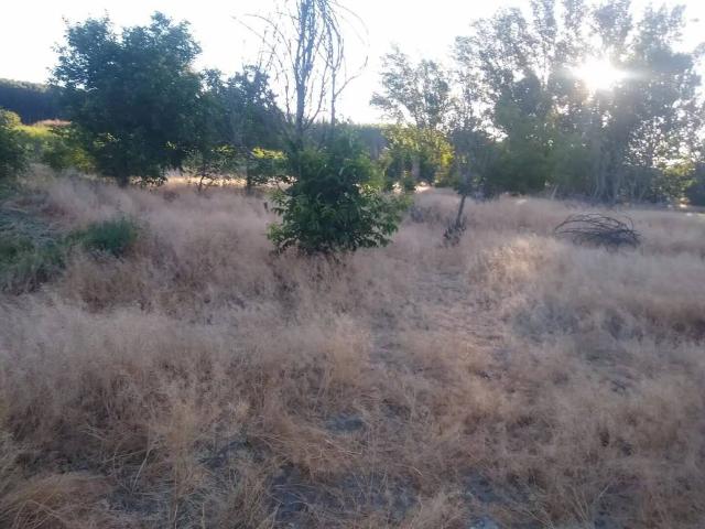 Terreno en venta en Comarca de Guadix, Andalucía