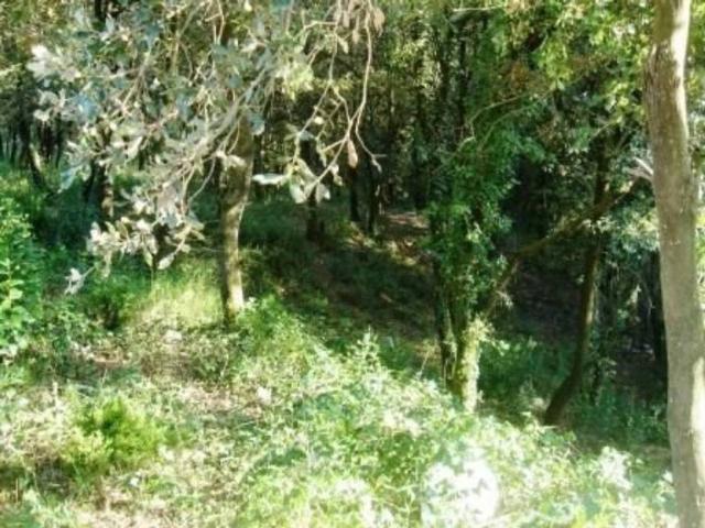 Terreno en venta en Vallès Oriental, Catalunya