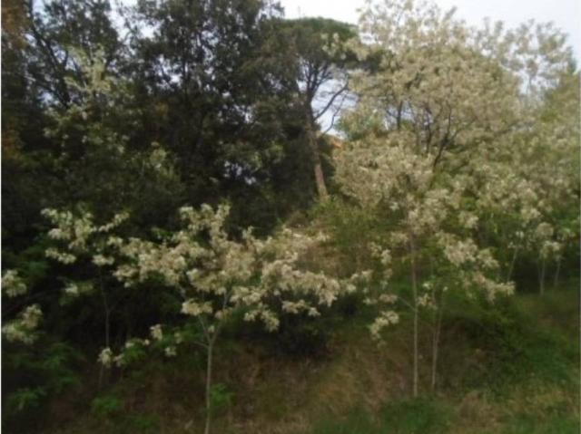 Terreno en venta en Vallès Oriental, Catalunya