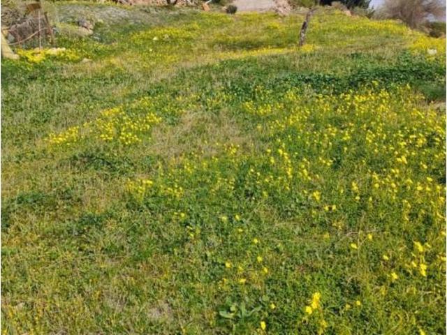 Terreno en venta en Comarca de la Costa Granadina, Andalucía