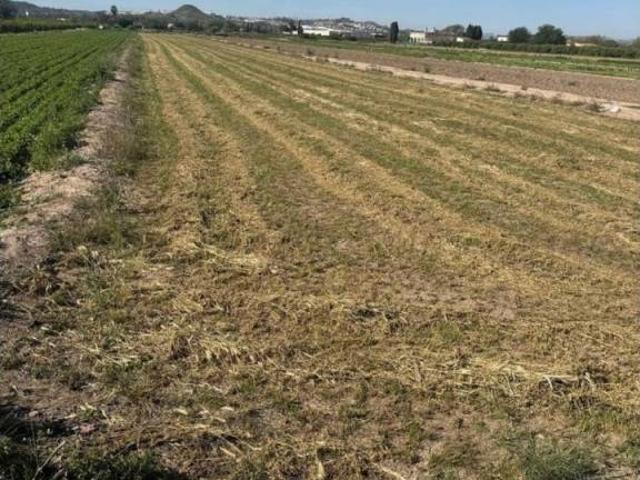 Terreno en venta en el Baix Segura / La Vega Baja, Valencia