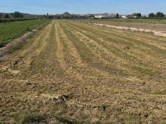 Terreno en venta en el Baix Segura / La Vega Baja, Valencia