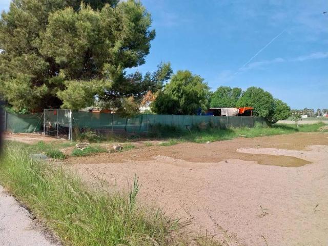Terreno en venta en Guardamar Del Segura