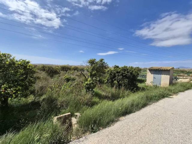 Terreno en venta en el Baix Segura / La Vega Baja, Valencia