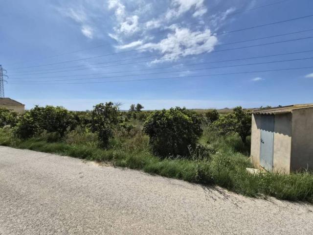 Terreno en venta en el Baix Segura / La Vega Baja, Valencia