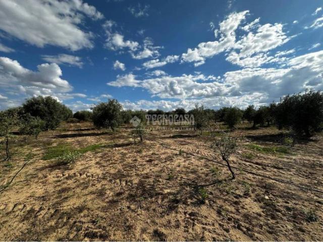 Terreno en venta en Guareña, Extremadura