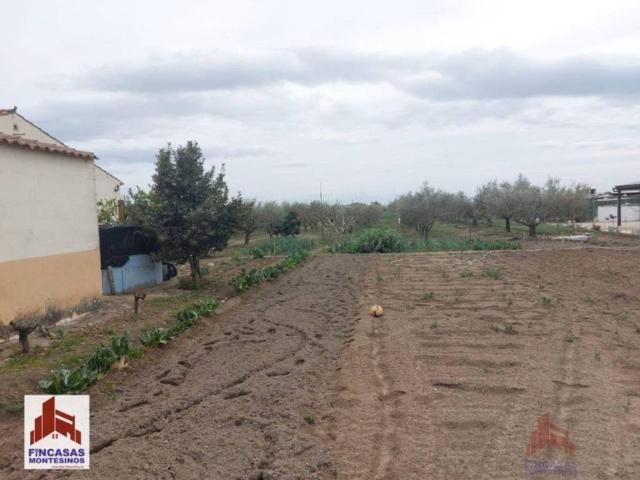 Terreno en venta en Guareña, Extremadura