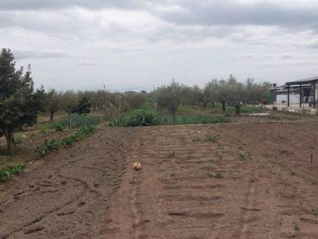 Terreno en venta en Guareña, Extremadura
