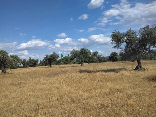 Terreno en venta en Guareña, Extremadura