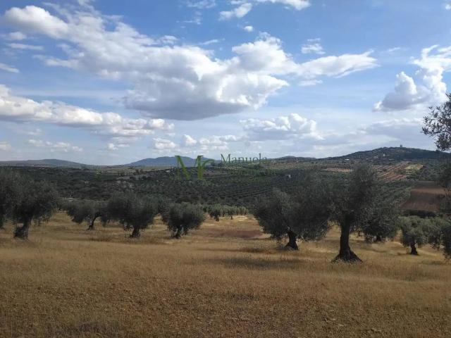 Terreno en venta en Guareña, Extremadura