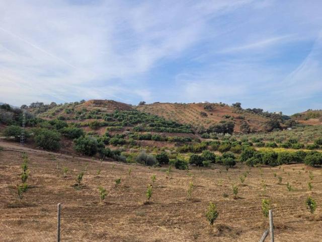 Terreno en venta en Sierra de las Nieves, Andalucía