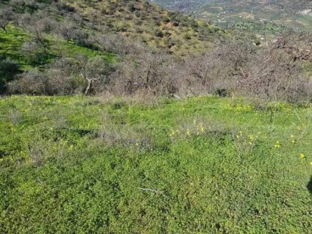 Terreno en venta en Sierra de las Nieves, Andalucía