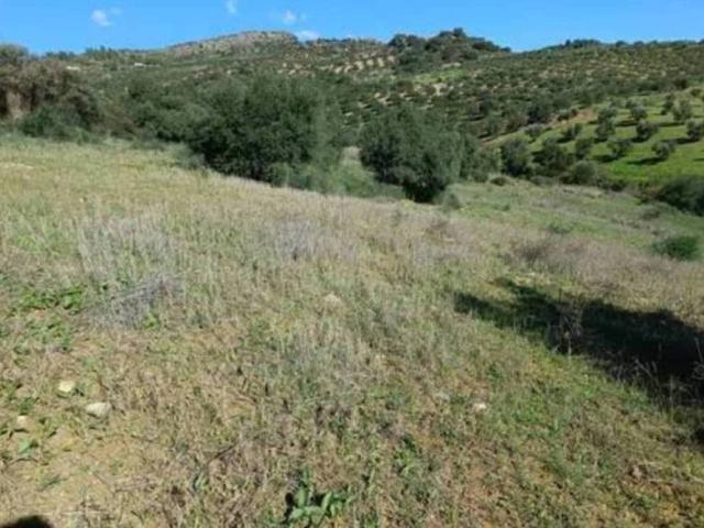 Terreno en venta en Sierra de las Nieves, Andalucía