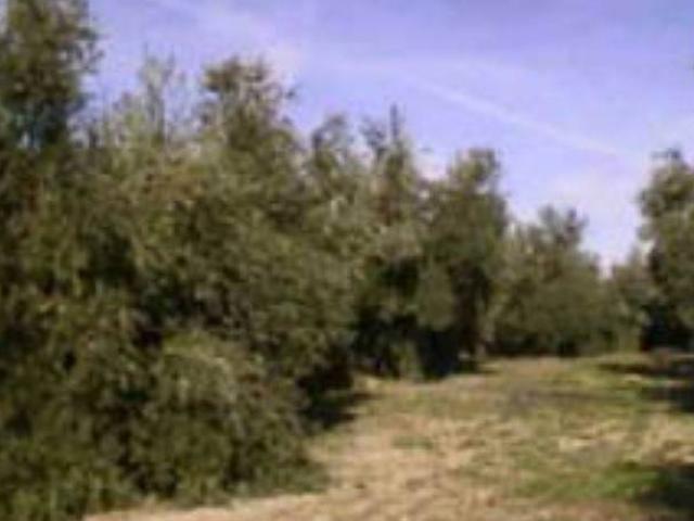 Terreno en venta en Guarromán, Andalucía