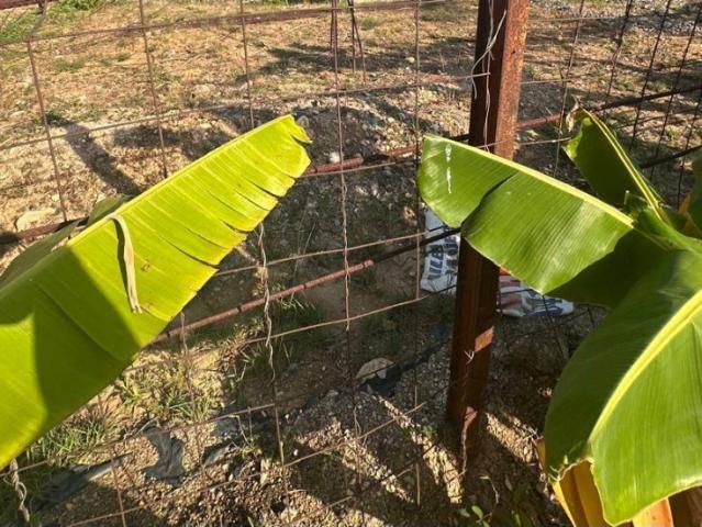 Terreno en venta en Valencia, Carabobo