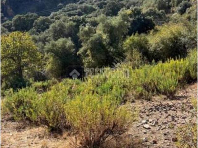 Terreno en venta en Comarca de la Vega de Granada, Andalucía
