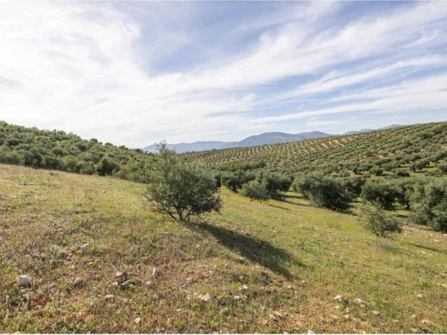 Terreno en venta en Comarca de la Vega de Granada, Andalucía