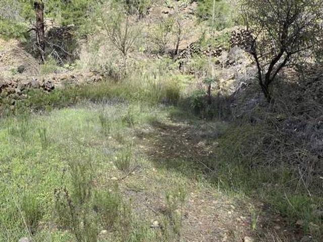 Terreno en venta en Guía de Isora, Canarias