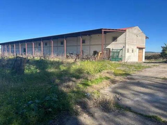 Terreno en venta en Guijo De Coria, Extremadura