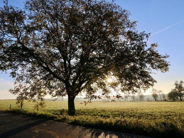 Terreno en venta en Guijuelo, Salamanca