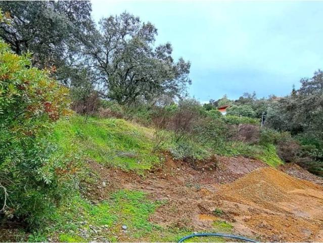 Terreno en venta en Guillena, Andalucía