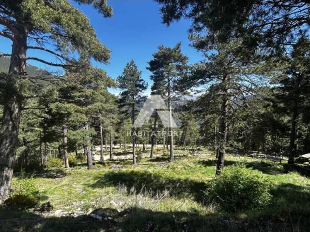 Terreno en venta en Solsonès, Catalunya