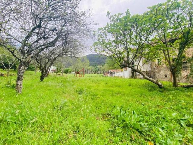 Terreno en venta en Guriezo, Cantabria