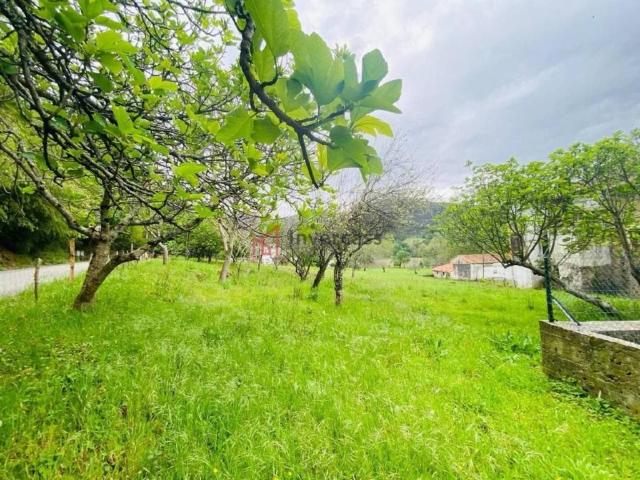 Terreno en venta en Guriezo, Cantabria