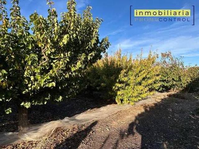 Terreno en venta en Hoya de Huesca / Plana de Uesca, Aragón