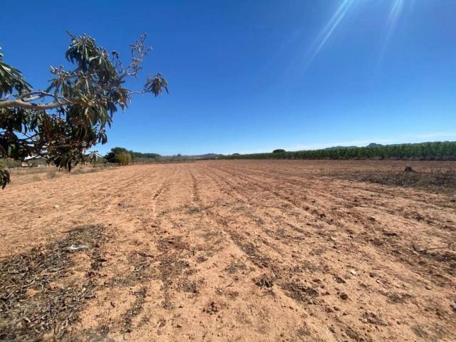 Terreno en venta en Hellín, Castilla-La Mancha