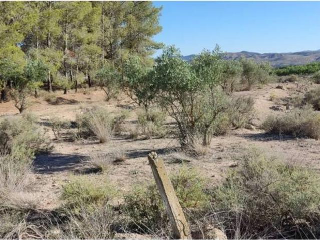 Terreno en venta en Hellín, Castilla-La Mancha