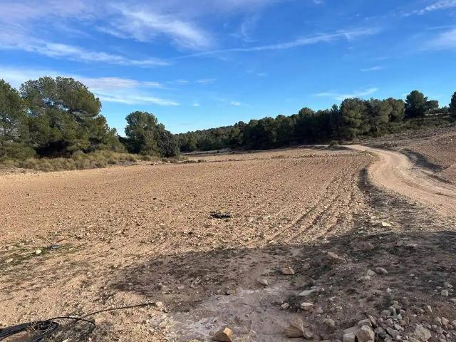 Terreno en venta en Hellín, Castilla-La Mancha