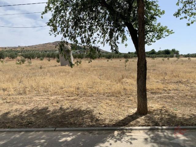 Terreno en venta en Herencia, Castilla-La Mancha