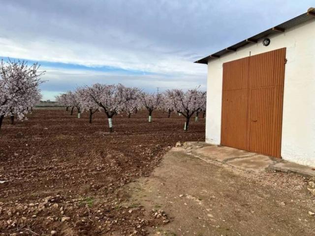 Terreno en venta en Herencia, Castilla-La Mancha