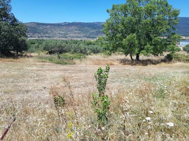 Terreno en venta en El Convento, Hervás