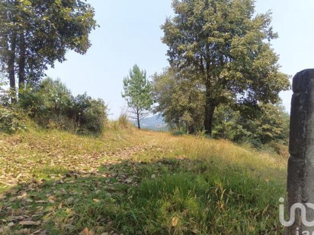 Terreno en venta en Los Reyes, Acaxochitlán