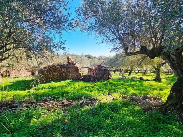 Terreno en venta en Sierra de Huelva, Andalucía
