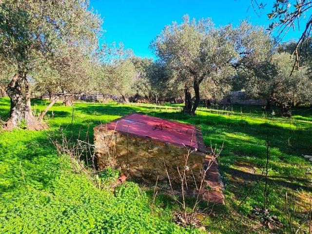 Terreno en venta en Sierra de Huelva, Andalucía