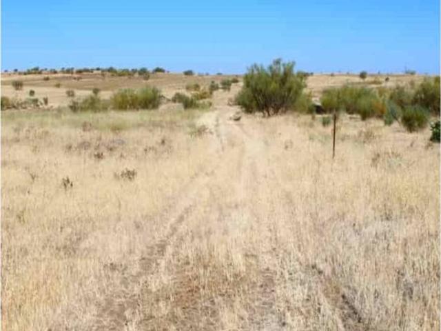 Terreno en venta en Higuera De Llerena, Extremadura