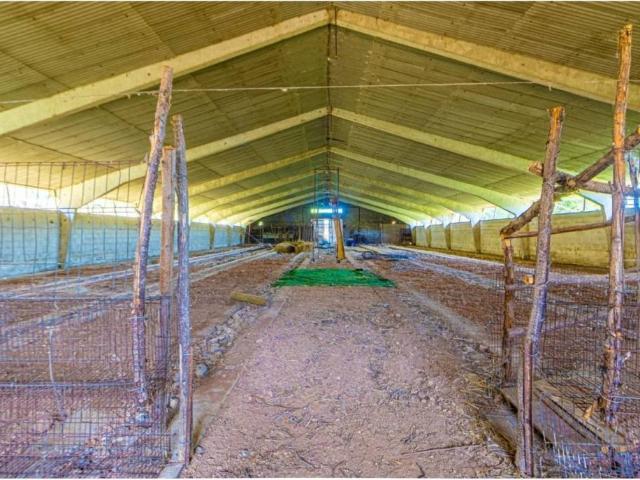 Terreno en venta en Hita, Castilla-La Mancha