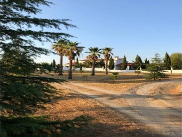 Terreno en venta en Holguera, Extremadura