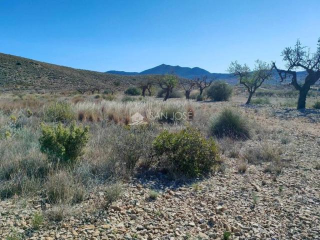 Terreno en venta en el Vinalopó Mitjà / El Vinalopó Medio, Valencia