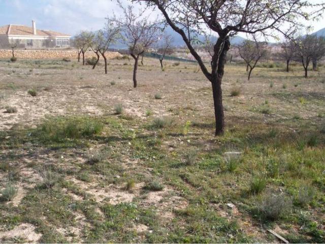 Terreno en venta en el Vinalopó Mitjà / El Vinalopó Medio, Valencia