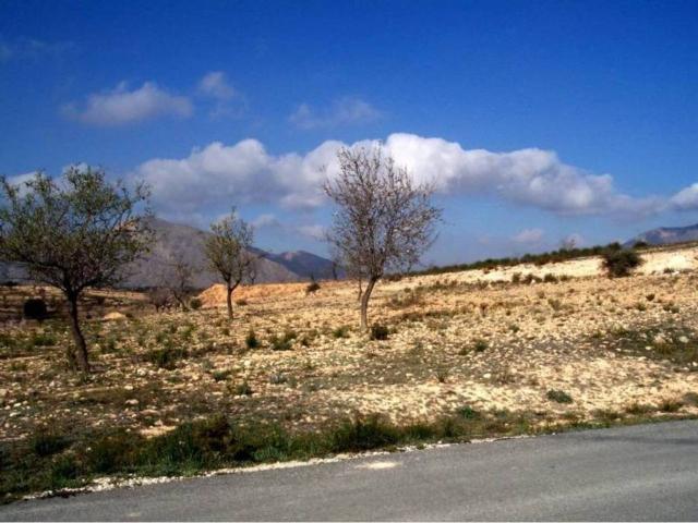 Terreno en venta en el Vinalopó Mitjà / El Vinalopó Medio, Valencia
