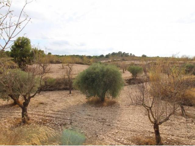 Terreno en venta en el Vinalopó Mitjà / El Vinalopó Medio, Valencia