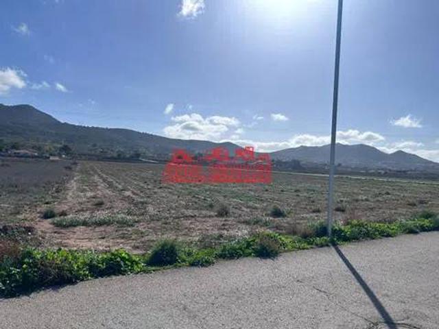Terreno en venta en Hondón de los Frailes, Alacant / Alicante
