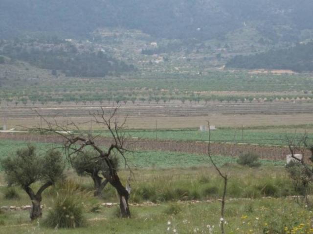 Terreno en venta en el Vinalopó Mitjà / El Vinalopó Medio, Valencia