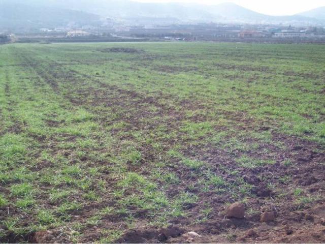Terreno en venta en el Vinalopó Mitjà / El Vinalopó Medio, Valencia